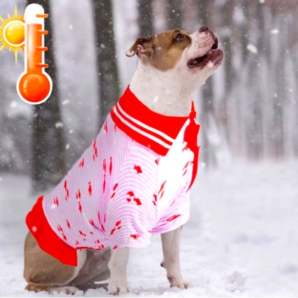 LOVINPET Soft Fleece Dog Dress In Sunfish Red Size Large - Picture 6 of 10